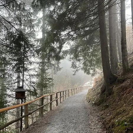 شقة هاوس لوثرينجين باي ألبين ترافيل