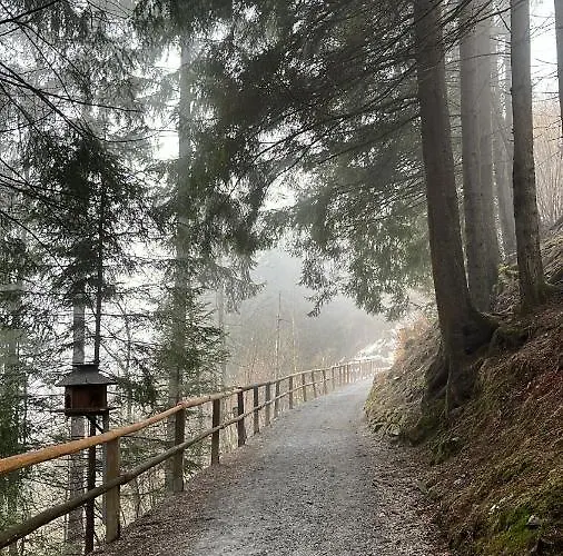 Apartman Haus Lothringen By Alpentravel